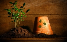 Reciclare Colectare Sistem Eco Prest
