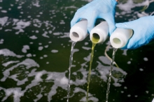 Reciclare Colectare ROUES SRL